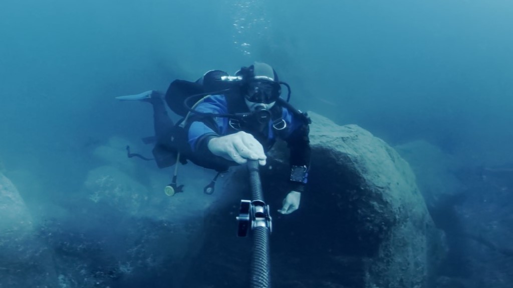 Un’immersione subacquea virtuale